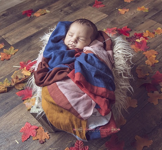 NEWBORN PORTRAIT SESSIONS